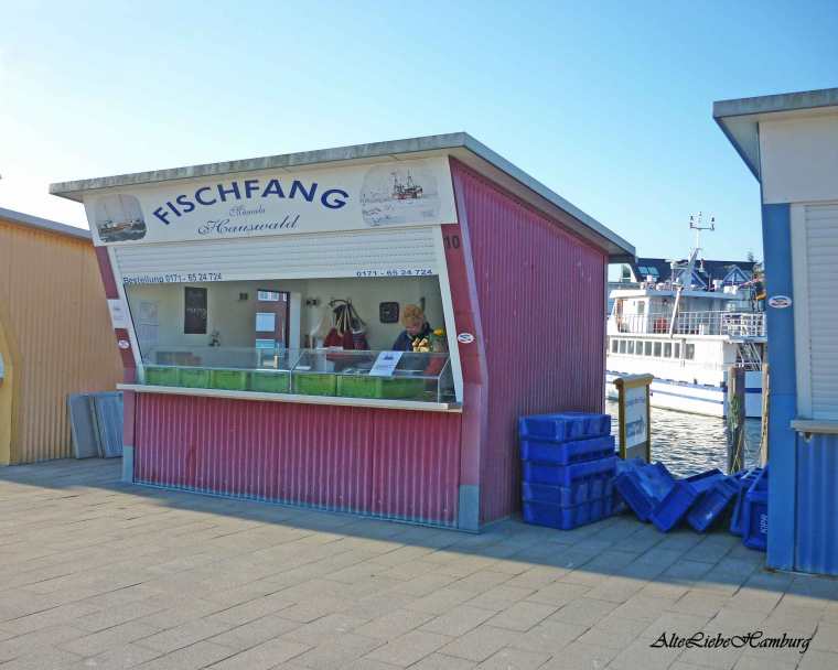 Frisch gefangener Fisch