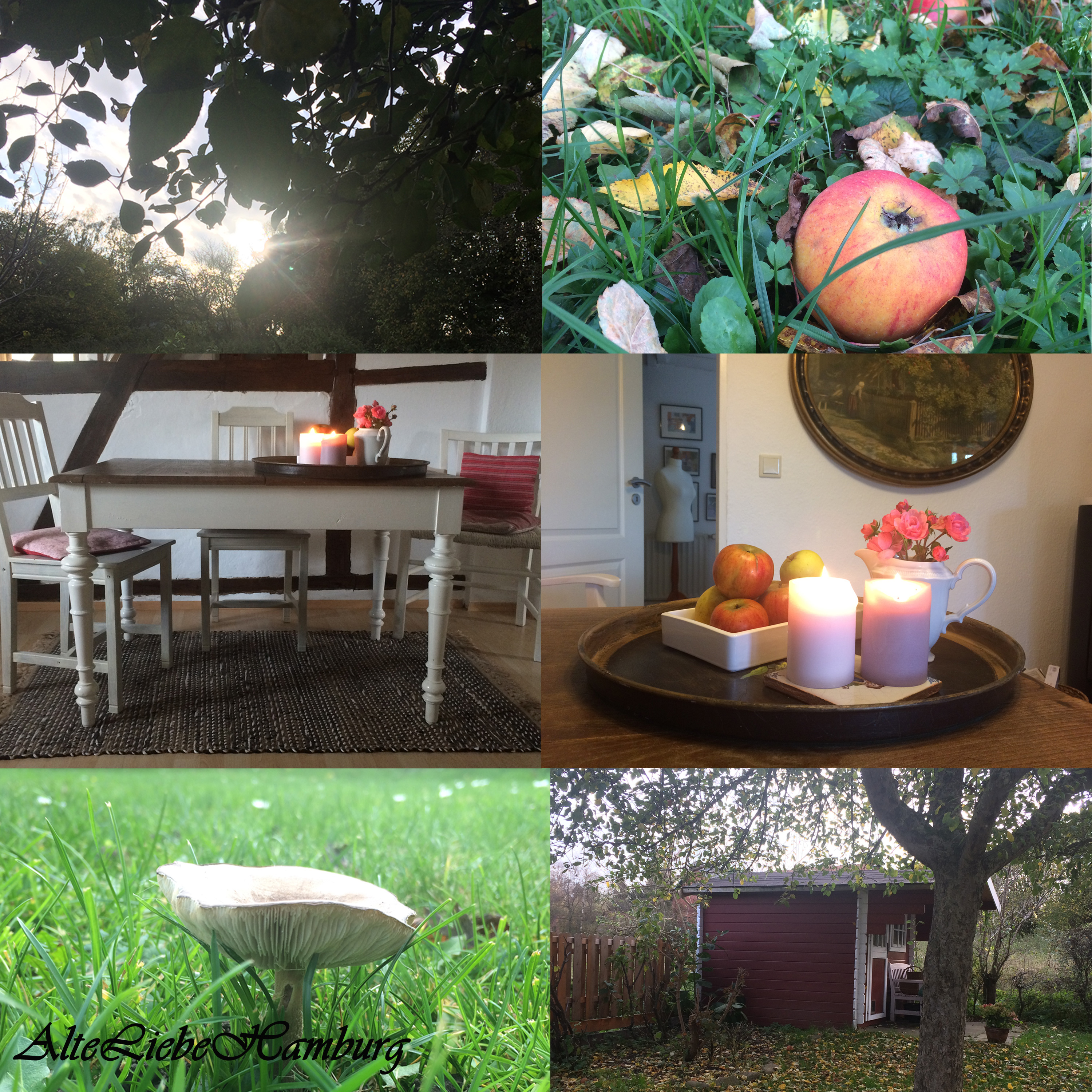 Kuschelige Strickdecken für die kalte Jahreszeit